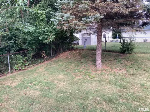 Exterior - 217 Willow Ln, Springfield, IL 62707 photo 6 of 7