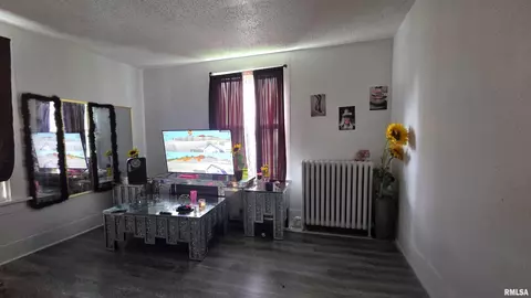 Other - 206 N State St, Springfield, IL 62704 photo 5 of 7