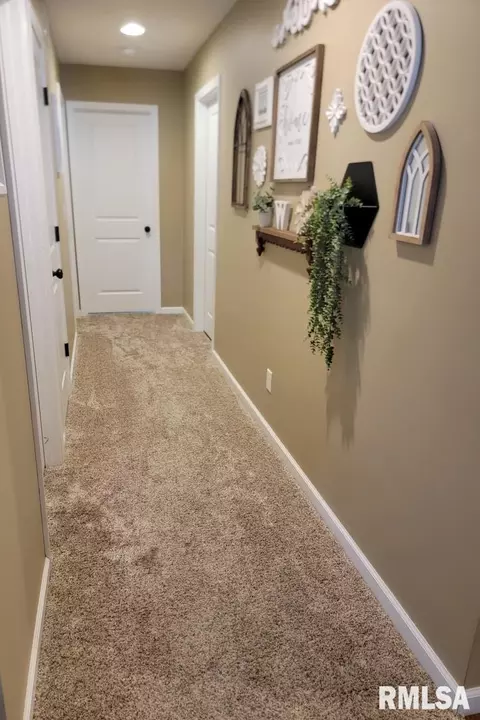 Entry Way - 415 Piazza Ln, Chatham, IL 62629 photo 3 of 3