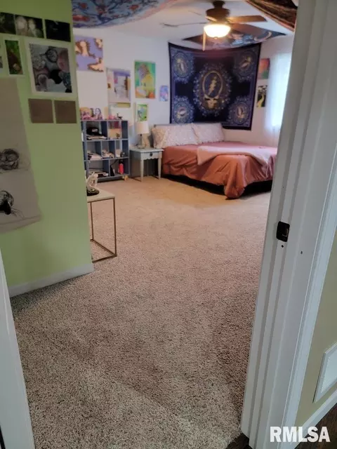 Other - 415 Piazza Ln, Chatham, IL 62629 photo 2 of 12