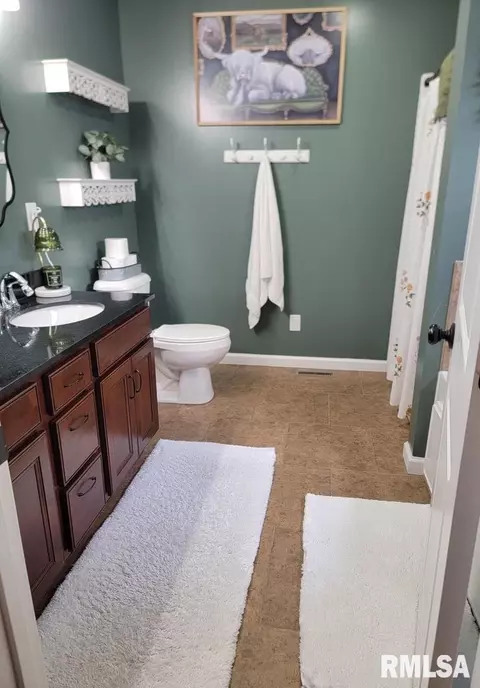 Bath - 415 Piazza Ln, Chatham, IL 62629 photo 3 of 7