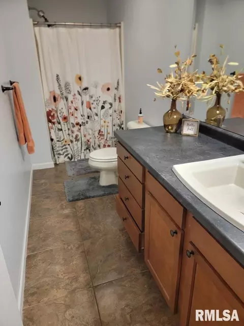 Bath - 415 Piazza Ln, Chatham, IL 62629 photo 5 of 7