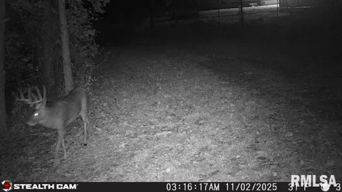 000 Grebner Rd, Metamora, IL 61548 photo 27