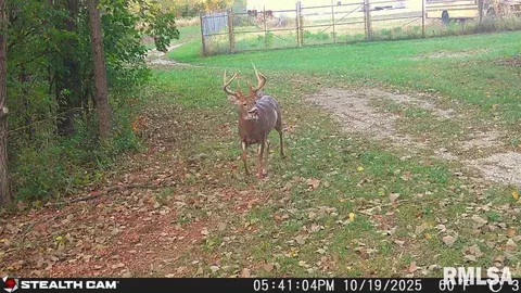 000 Grebner Rd, Metamora, IL 61548 photo 25