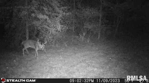 000 Grebner Rd, Metamora, IL 61548 photo 26