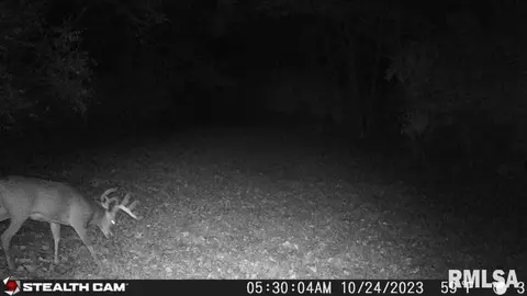 000 Grebner Rd, Metamora, IL 61548 photo 30