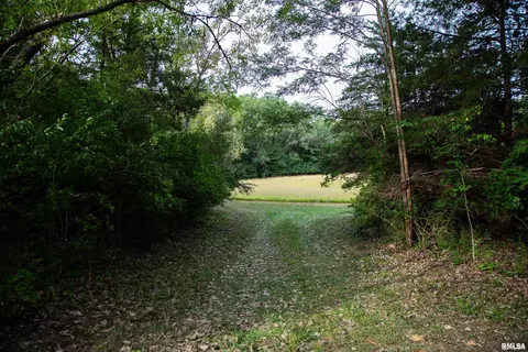 000 Grebner Rd, Metamora, IL 61548 photo 2