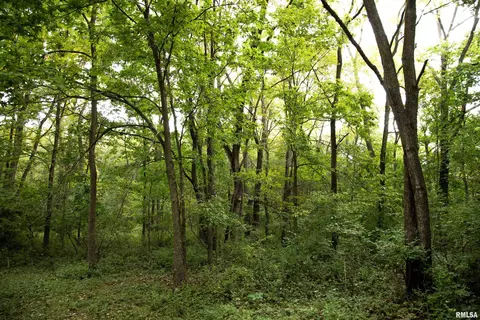 000 Grebner Rd, Metamora, IL 61548 photo 13