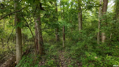 000 Grebner Rd, Metamora, IL 61548 photo 19