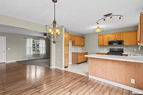 Other - 704 Pheasant Dr, Athens, IL 62613 photo 5 of 17