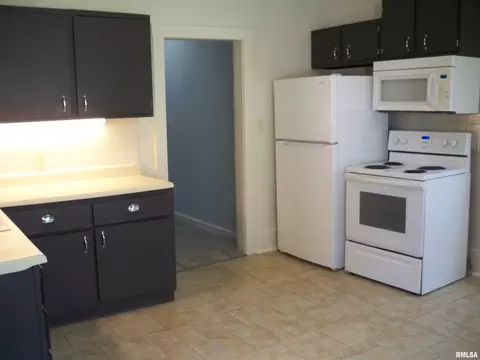 Kitchen - 1120 S Pasfield St, Springfield, IL 62704 photo 3 of 3