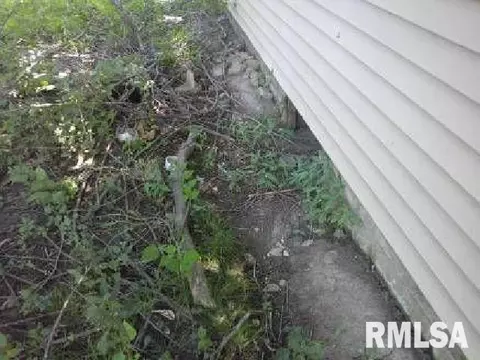 Exterior - 920 Elm St, Macomb, IL 61455 photo 4 of 5