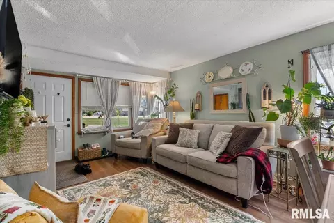 Other - 733 N Walnut St, Springfield, IL 62702 photo 4 of 10