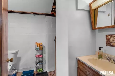 Other - 733 N Walnut St, Springfield, IL 62702 photo 7 of 10