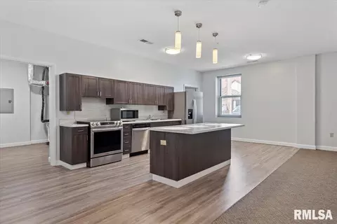 Kitchen - 501 E Capitol St, Springfield, IL 62701 photo 1 of 5