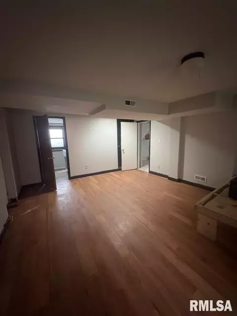 Other - 1036 W Washington St, Springfield, IL 62702 photo 4 of 14
