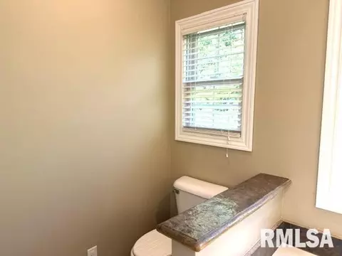 Bath - 1620 Hoechester Rd, Springfield, IL 62712 photo 5 of 12