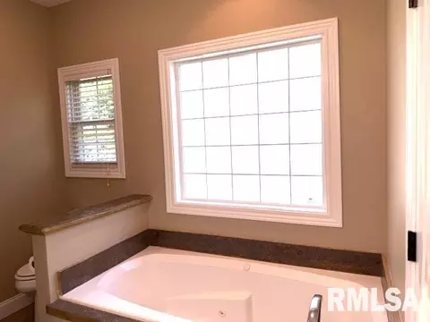 Bath - 1620 Hoechester Rd, Springfield, IL 62712 photo 3 of 12