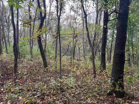 Rr County Road 845 E, Mount Sterling, IL 62353 photo 9