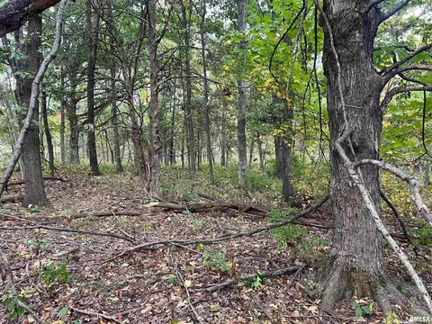 Rr County Road 845 E, Mount Sterling, IL 62353 photo 7