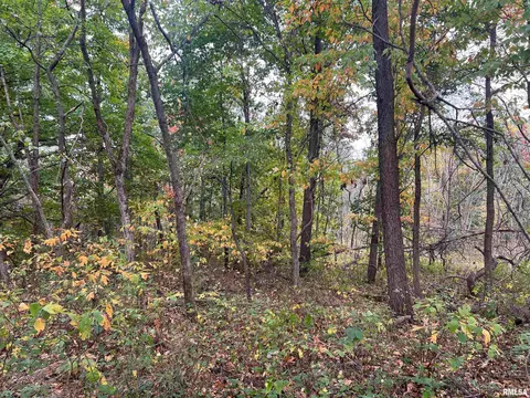 Rr County Road 845 E, Mount Sterling, IL 62353 photo 6