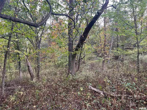 Rr County Road 845 E, Mount Sterling, IL 62353 photo 12