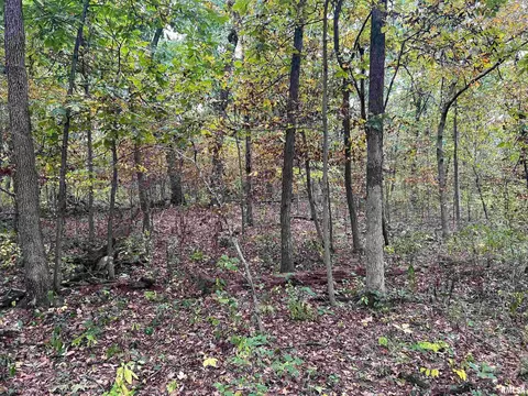 Rr County Road 845 E, Mount Sterling, IL 62353 photo 13