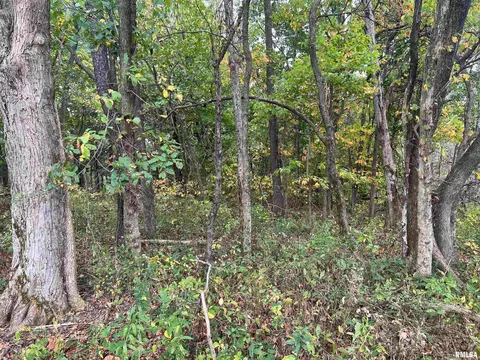 Rr County Road 845 E, Mount Sterling, IL 62353 photo 5