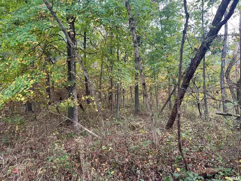 Rr County Road 845 E, Mount Sterling, IL 62353 photo 11