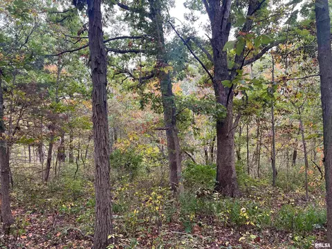 Rr County Road 845 E, Mount Sterling, IL 62353 photo 8