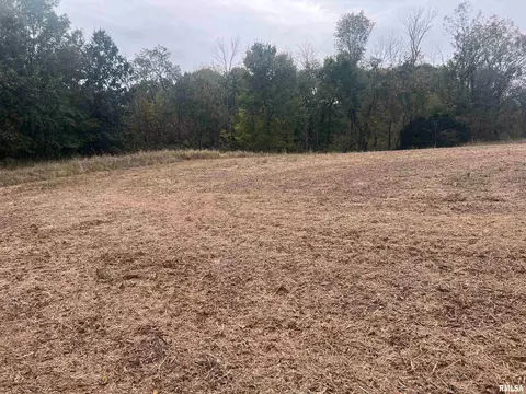 Rr County Road 845 E, Mount Sterling, IL 62353 photo 3