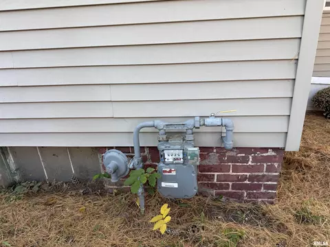 Exterior - 419 N Johnson St, Macomb, IL 61455 photo 9 of 9