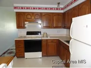 3209 St Francis, Springfield, IL 62703 photo 5