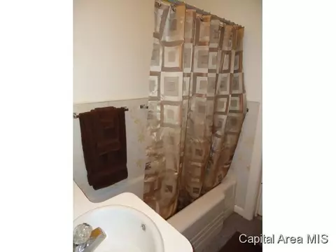 1512 N 29th, Springfield, IL 62702 photo 14