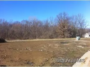 609 Black Hls, Springfield, IL 62711 photo 2