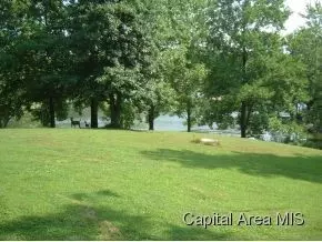 144 Maple Grv, Springfield, IL 62712 photo 3