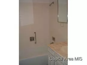 144 Maple Grv, Springfield, IL 62712 photo 21