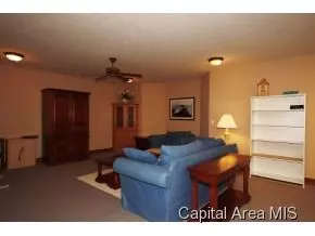 4368 Sunset Ln, Riverton, IL 62561 photo 18