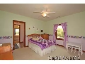 4368 Sunset Ln, Riverton, IL 62561 photo 15