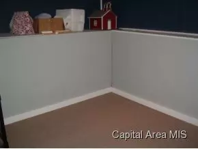 2432 S Lowell, Springfield, IL 62704 photo 19