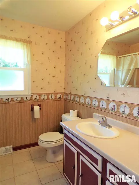 123 E Coal St, Wataga, IL 61488 photo 22