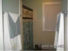 741 N Walnut, Springfield, IL 62702 photo 10