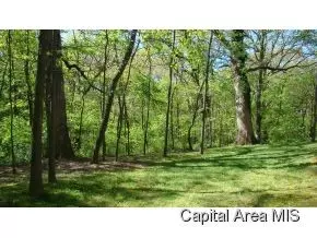 90 Carole Rd, Springfield, IL 62711 photo 6