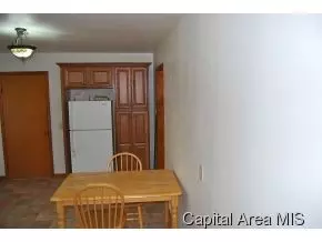 228 E Palmer, Greenview, IL 62642 photo 12
