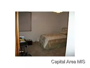 299 S Laurel, Bluffs, IL 62621 photo 7