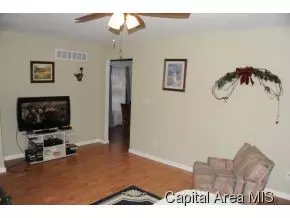 3117 E Carpenter, Springfield, IL 62702 photo 9
