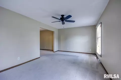 1225 Old Crows Way, Springfield, IL 62711 photo 18