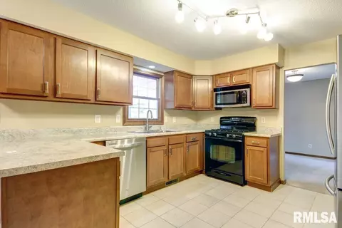 1225 Old Crows Way, Springfield, IL 62711 photo 29