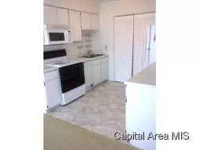 357 Durkin Dr, Springfield, IL 62704 photo 4