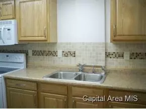 909 S Pasfield Street St, Springfield, IL 62704 photo 2